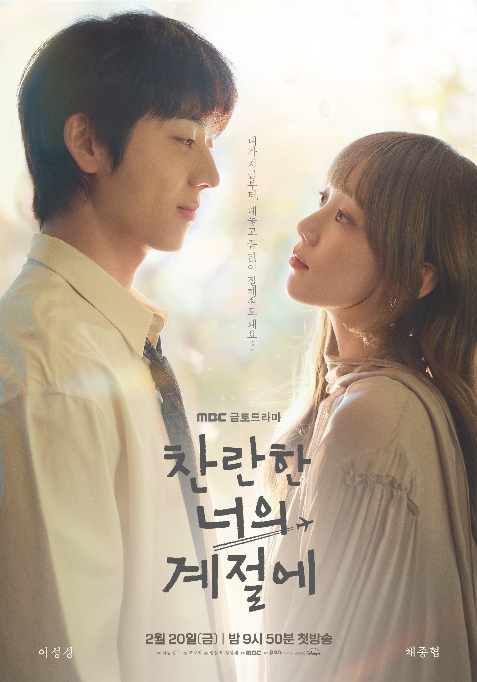 在你灿烂的季节 poster
