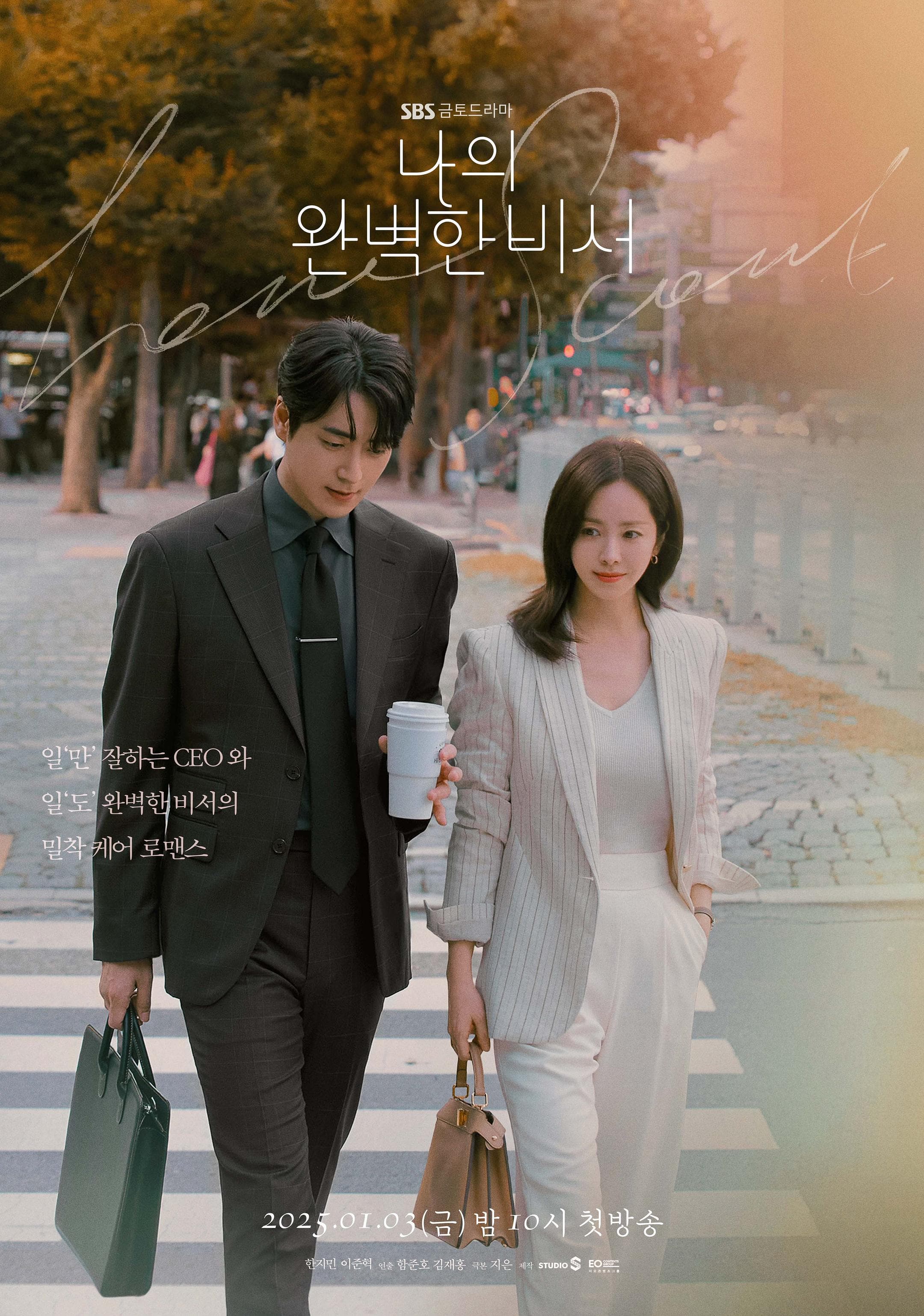 我的完美秘书 poster