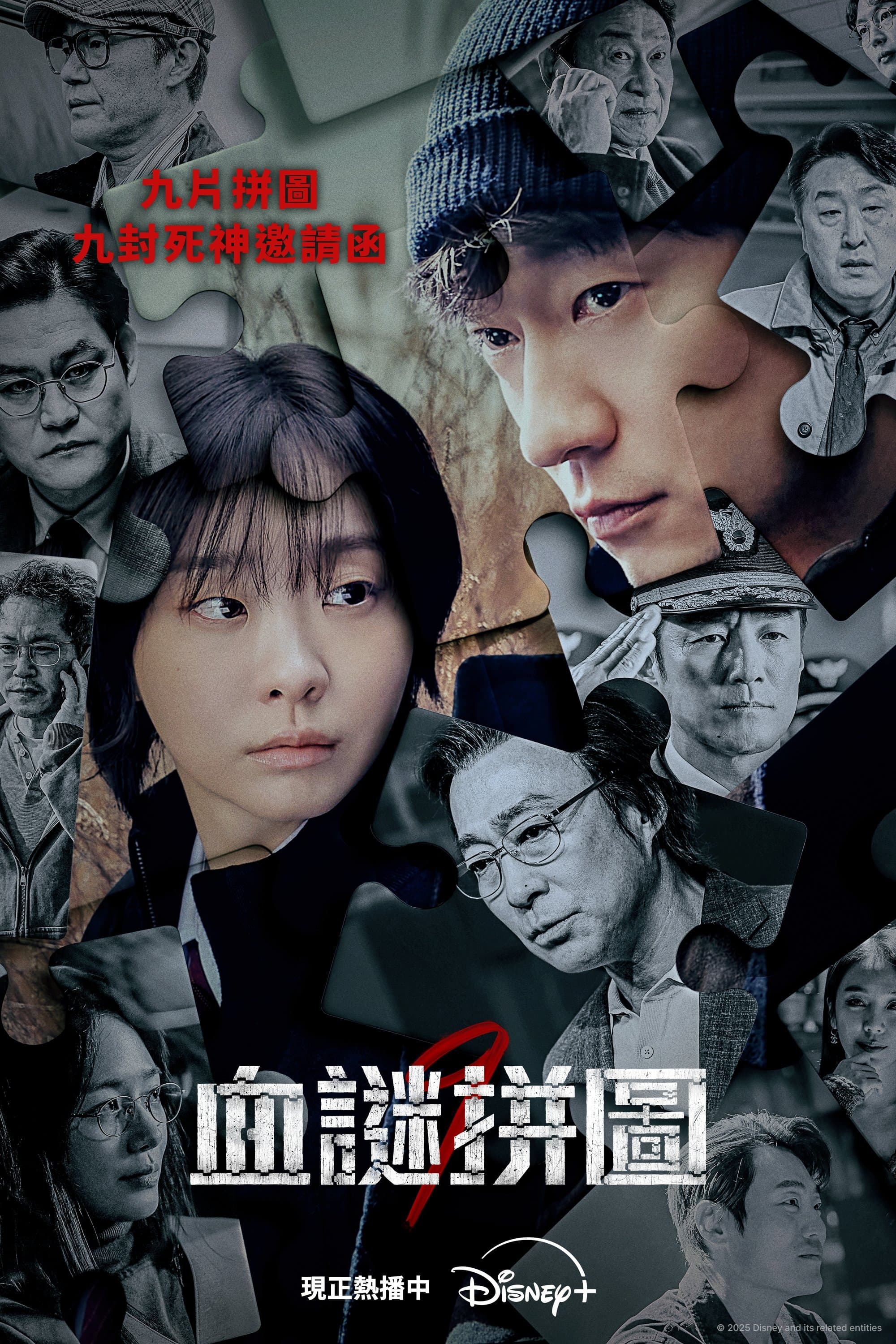 血谜拼图 poster