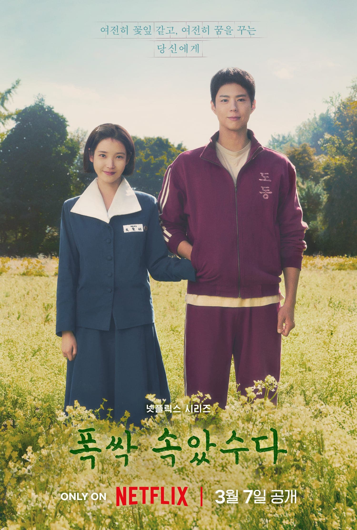 苦尽柑来遇见你 poster